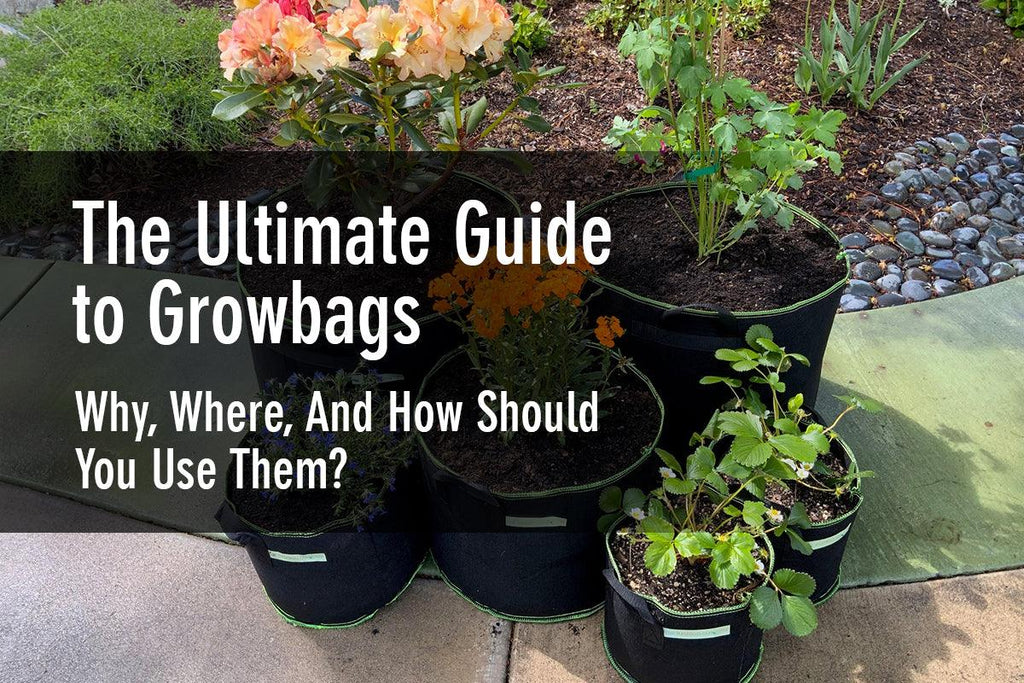 Ultimate Guide to Grow Bags - The Bamboo Guy