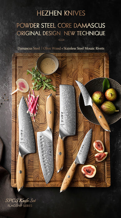 5 Pcs New Chef Knife Set 73 Layers Damascus Powder Steel with Olive Wood Handle - X01 Flagship Series