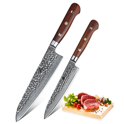 Xinzuo B9 2 Pcs 67 Layers Damascus Steel Kitchen Knife Set Chef Utility Knife Rosewood