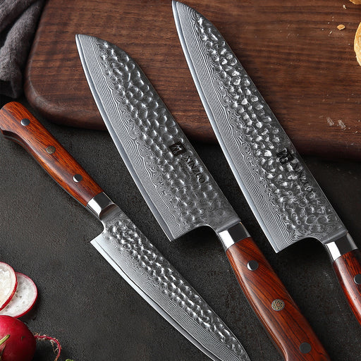 Xinzuo B9 Yun Series 3 Pcs 67 Layers Damascus Chef Knife Set Rosewood Handles