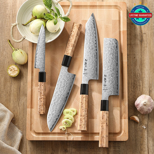 Hezhen 4 Pcs Chef Knife Set Japanese Aogami Blue 2 Steel High Carbon Core 49 Layers Damascus Steel Sycamore Handle