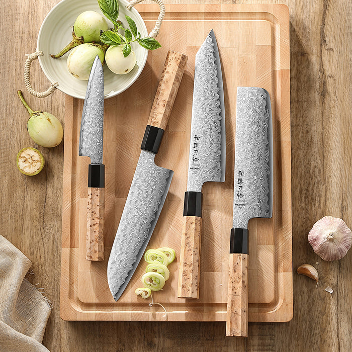 4 Pcs Kitchen Knife Set Japanese Damascus Steel X05B Series