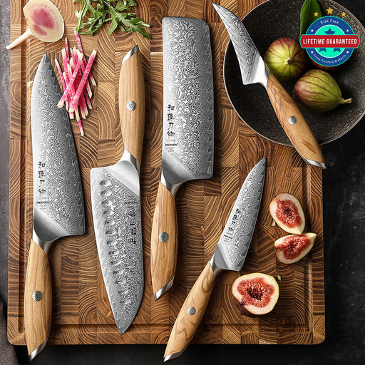 5 Pcs New Chef Knife Set 73 Layers Damascus Powder Steel with Olive Wood Handle - X01 Flagship Series