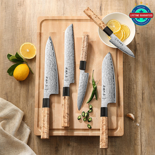 Hezhen 5 Pcs Chef Knife Set Japanese Aogami Blue 2 Steel High Carbon Core 49 Layers Damascus Steel Sycamore Handle