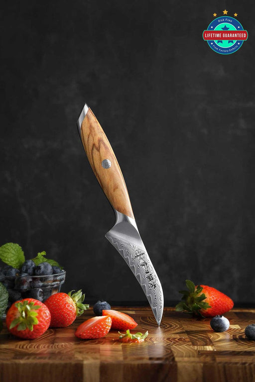 Hezhen X01 Flagship Series 4" 73 Layer Damascus Curved Paring Knife with Olive Wood Handle