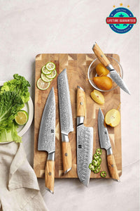 Floral Patter Blade Stainless Steel Fruit Knife - China Kitchen Knives and  Sharp Knife price