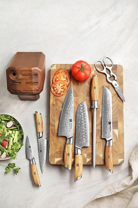 XINZUO B37 6 Pcs Damascus Chef Knife Set, Honing Rod, Shears & Knife Block