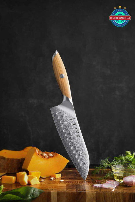 Hezhen X01 Flagship Series Damascus Santoku Knife