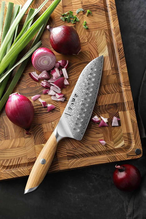 Hezhen X01 Flagship Series 73 Layer Damascus Santoku Knife with Olive Wood Handle