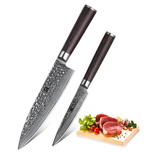 Xinzuo B1H 2 Pcs 67 Layer Damascus Steel Chef and Utility Knife Set with Pakka Wood Handle