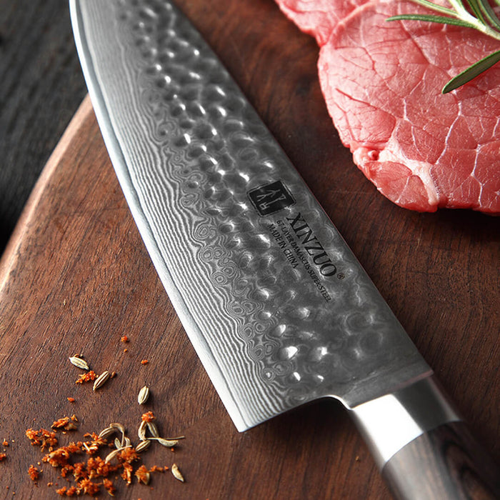 XINZUO B32 5 Pcs 67 Layer Damascus Steel Kitchen Knife Set