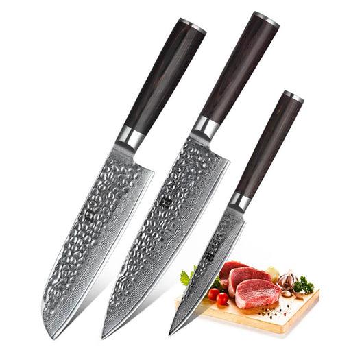 Xinzuo B1H 3 Pcs 67 Layer Damascus Steel Knife Set with Pakka Wood Handle