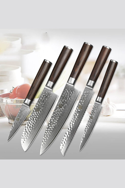 https://www.thebambooguy.com/cdn/shop/files/Xinzuo-B1H-5-Pcs-67-Layer-Damascus-Steel-Kitchen-Knife-Set_512x769.jpg?v=1701471512