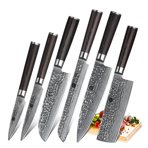 Xinzuo B1H 6 Pcs 67 Layer Damascus Steel Chef Knife Set with Pakka Wood Handle