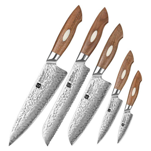 Xinzuo B46W 5 Pcs Damascus Chef Knife Set 67 Layer Genuine Japanese AUS-10 Steel