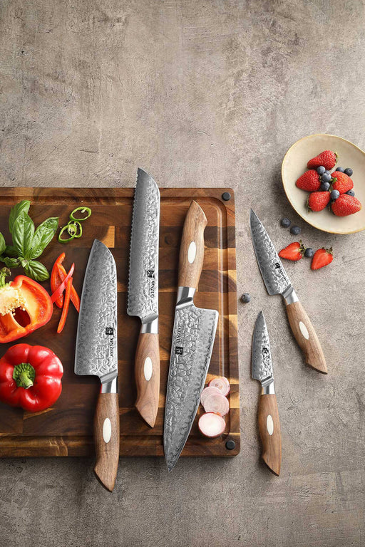 XINZUO Damascus 5Pcs Kitchen Knife Set, Professional Sharp Kitchen