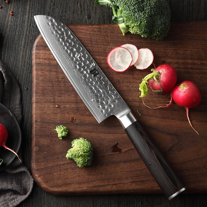 67 layer Damascus Santoku Knife Damascus Steel Santoku Knife