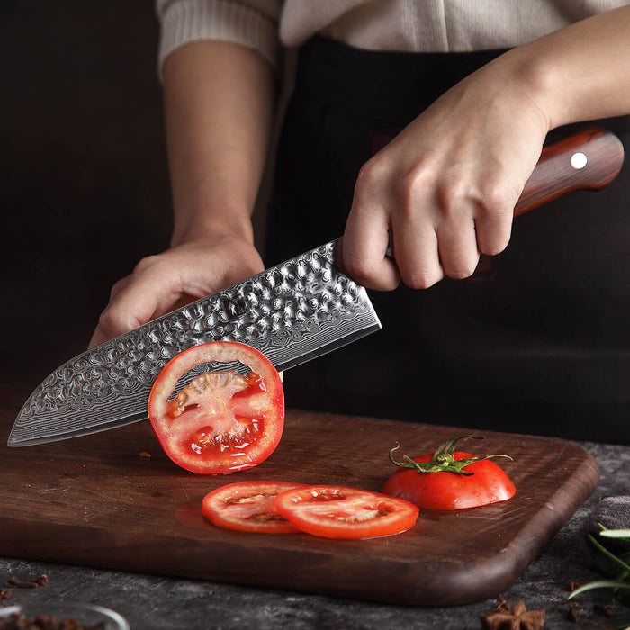 man holding Damascus Steel Santoku Kitchen Knife B9