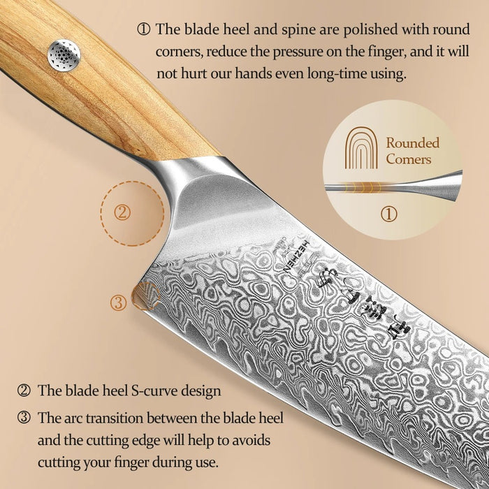 6 Pcs New Chef Knife Set 73 Layers Damascus Powder Steel with Olive Wood Handle - X01 Flagship Series