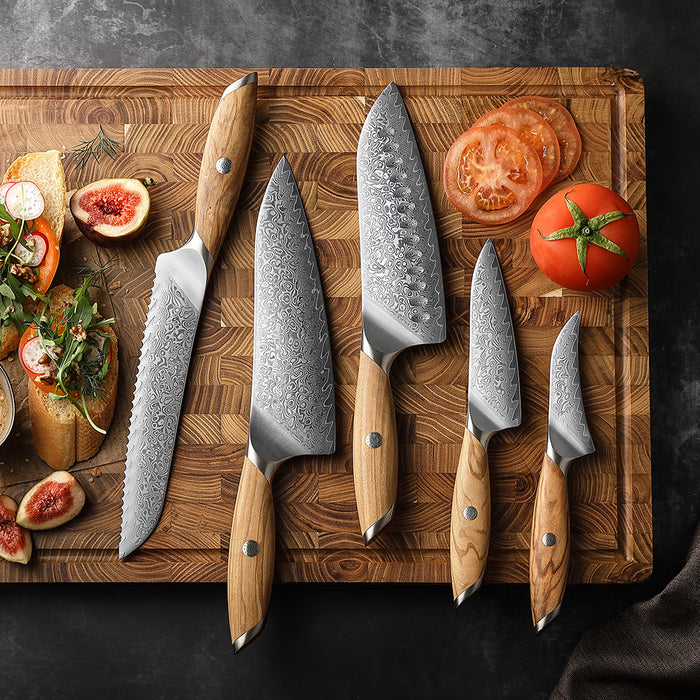 5 Pcs Chef Knife Set 73 Layers Damascus Powder Steel with Olive Wood Handle - X01 Flagship Series