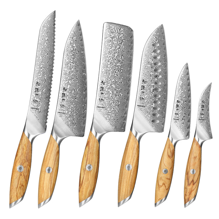 6 Pcs New Chef Knife Set 73 Layers Damascus Powder Steel with Olive Wood Handle - X01 Flagship Series