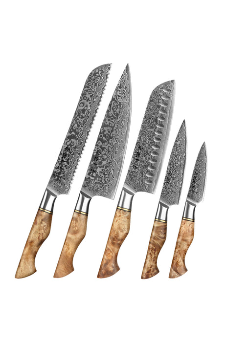 Hezhen B30 5pcs Kitchen Knives Set Damascus Steel Chef Santoku