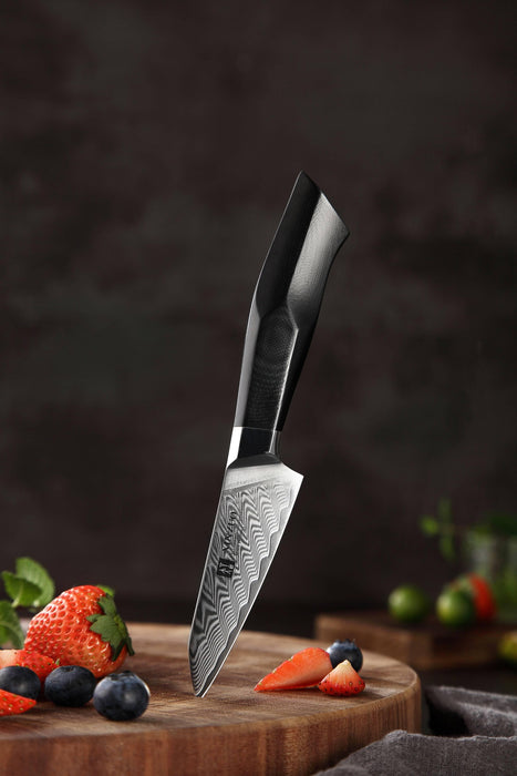 XINZUO B32 3 Pcs 67 Damascus Steel Knife Set Chef, Santoku
